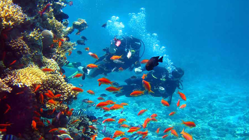 Wonders of Andaman