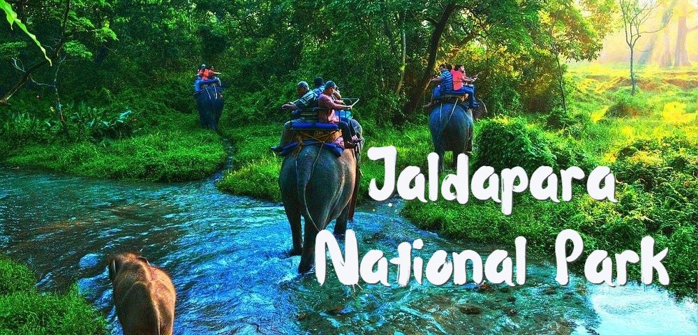 Safari Trip to Jaldapara National Park